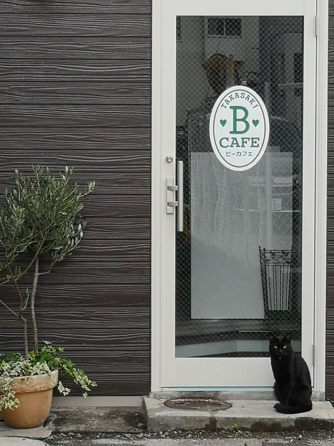 猫カフェ並みに猫が遊びに来る 占い館ビーカフェ群馬高崎店 群馬高崎占いなら 占い館bcafe ビーカフェ 群馬高崎店 のブログ